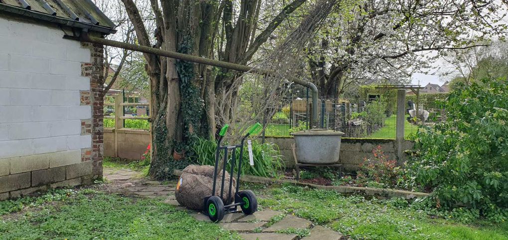 Auprès de mon arbre…