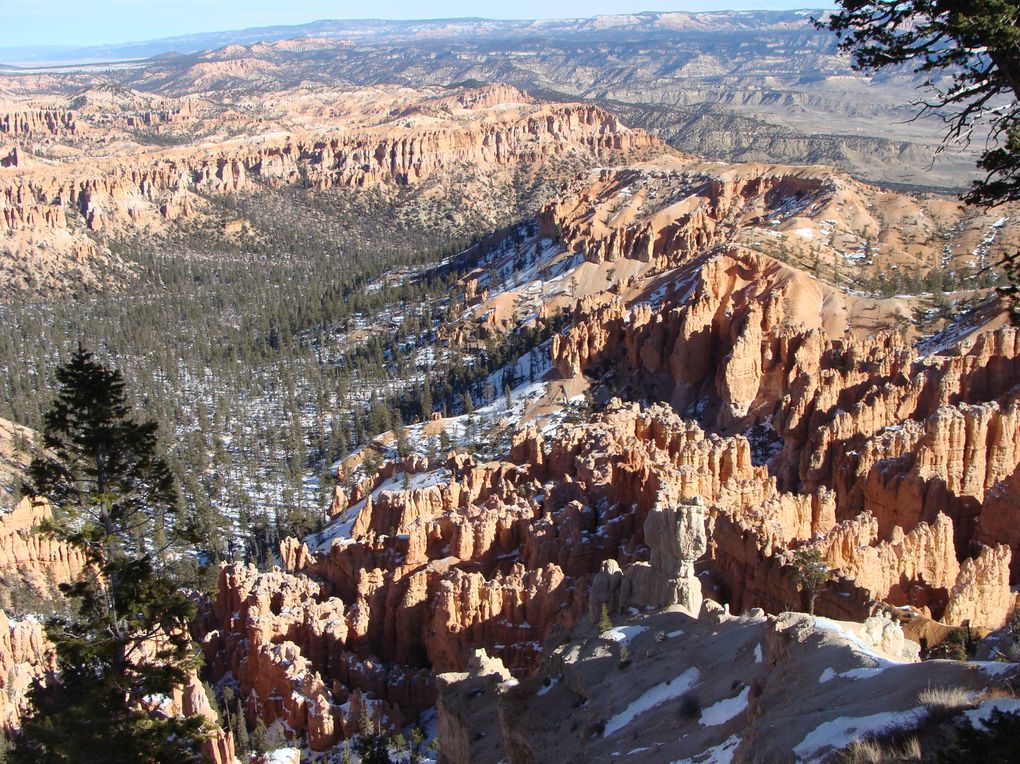 Winter time around Utah, Nevada and Arizona with Benji.