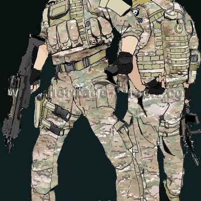 letipingouin-airsoft.overblog.com