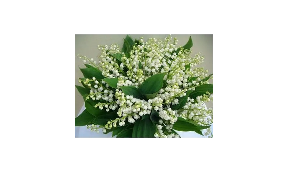 Un bouquet de muguet porte bonheur pour tous nos lecteurs et lectrices du jour