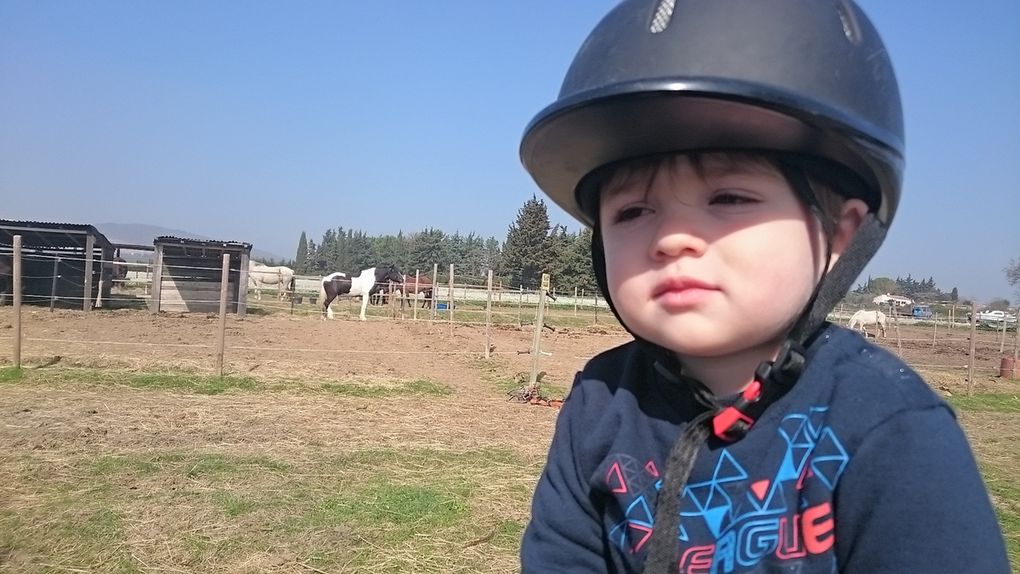 Balade au Poney Club des Salines