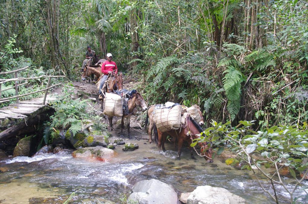 Retour à Jarabacoa