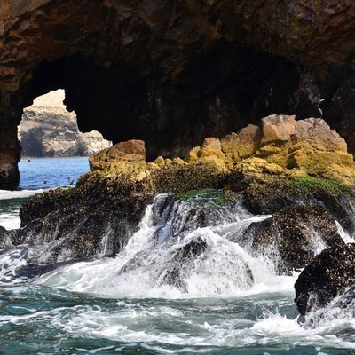 Paracas - Islas Ballestas - Pisco