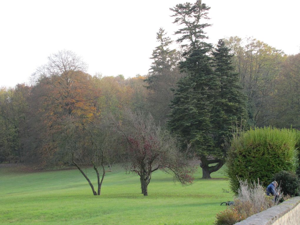 Diverses promenades en Picardie et dans l'Aisne