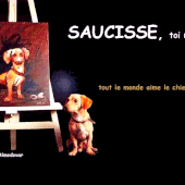 Le site Officiel du célèbre chien Saucisse