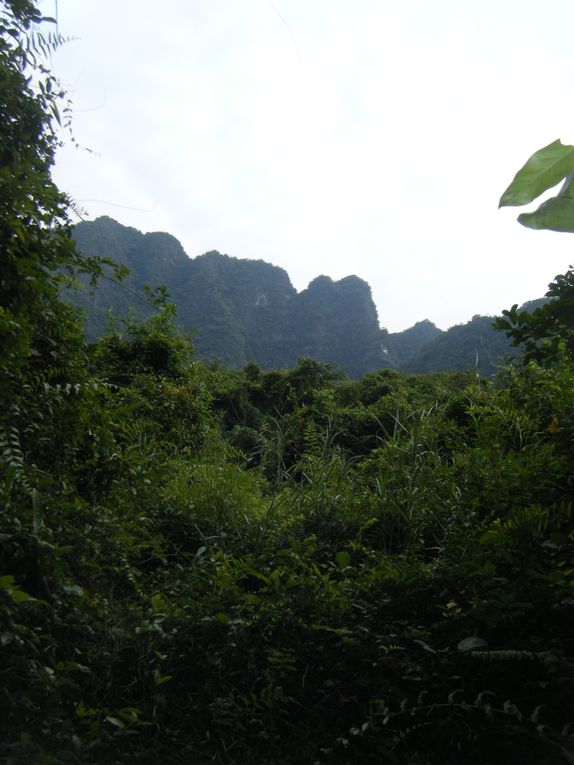 Album - Ninh-Binh