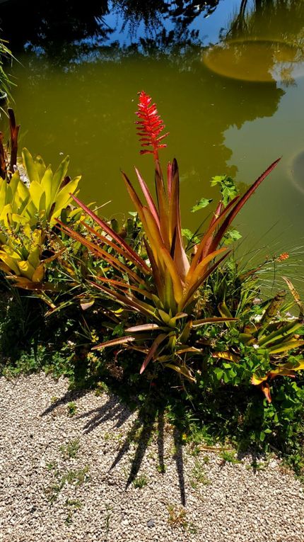 Le Jardin de Val Rahmed le 31 mai 2024