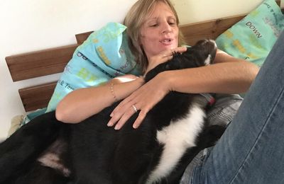 LIMA - mâle croisé border collie - castré - adopté à 10 mois