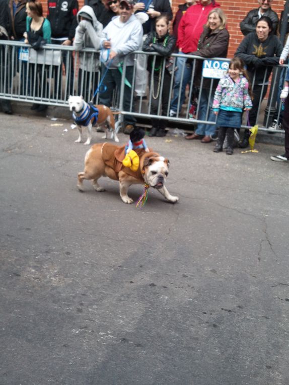 Première parade de notre premier carnaval.