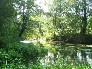Randonnée dans la Vallée de la Vienne
