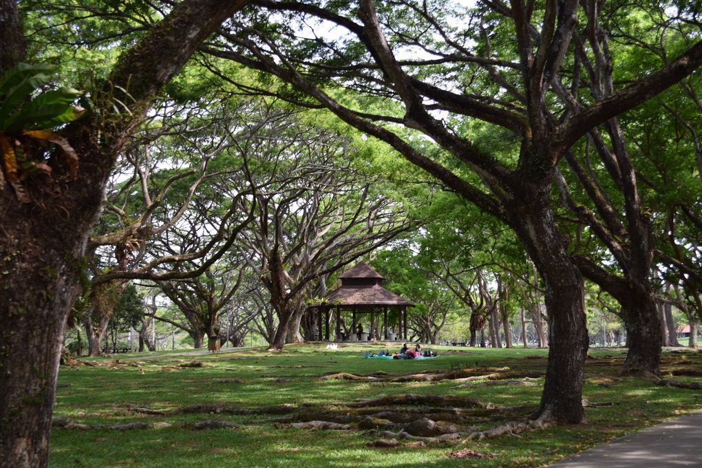 Pasir Ris park