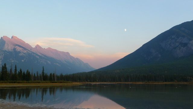 Album - -o-BANFF