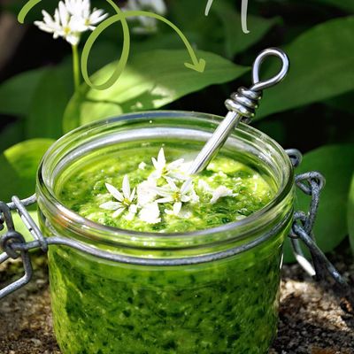 Pesto à l'ail des Ours