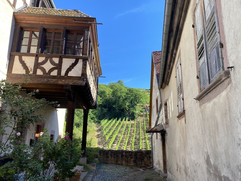 RIQUEWIHR en Alsace 