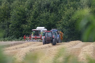 aujourd'hui c'est la moisson
il fait beau on en profite