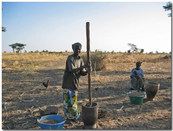 Album - le-senegal