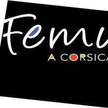 Co-officialité de la langue corse: Femu A Corsica a quitté la commission d'examen des amendements cette nuit