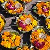 QUITTER L'INDE , LA FOULE POUR LA SOLITUDE  