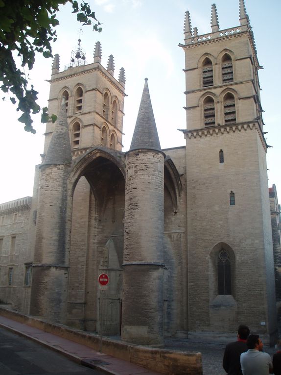 Photos d'Eglises et de Cathedrales de France