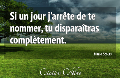 J Ai Appris Qu Il Est Important De Ne Jamais Abandonner Ses Reves Last Night In Orient