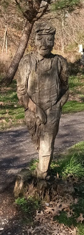 Des jolies statues de bois sculptées dans les arbres morts 