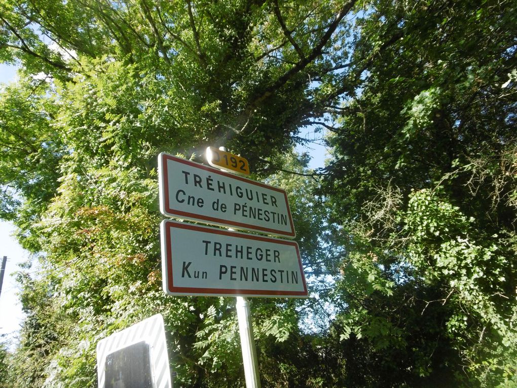 le Belvédère de Rozé à Fédrun (44) - Kerfeuille avant Camérun: mon endroit préféré du Marais de Brière - Tréhiguier (56) - nos deux sacoches confidentes de notre voyage