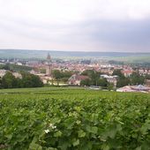 Épernay - Wikipédia