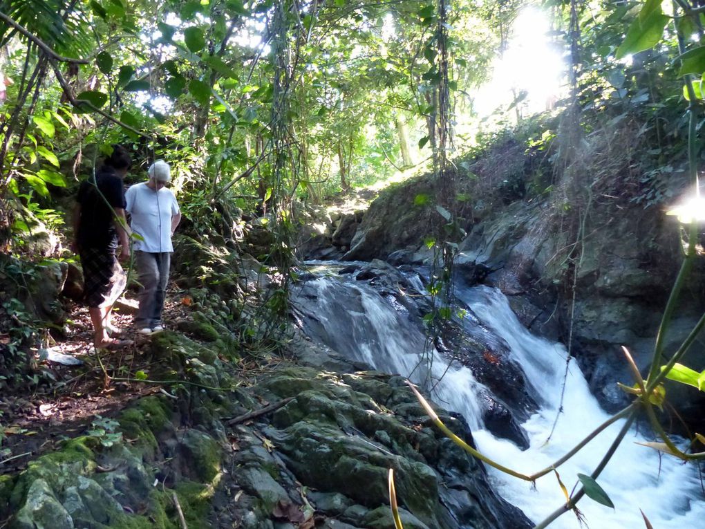 Xalapa - Catameco - Cascada Escondida