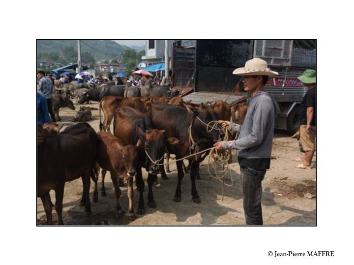 Tenu le Dimanche, le marché de Bac Ha est un rendez-vous attendu des minorités locales ainsi que de 14 ethnies qui peuplent les alentours.