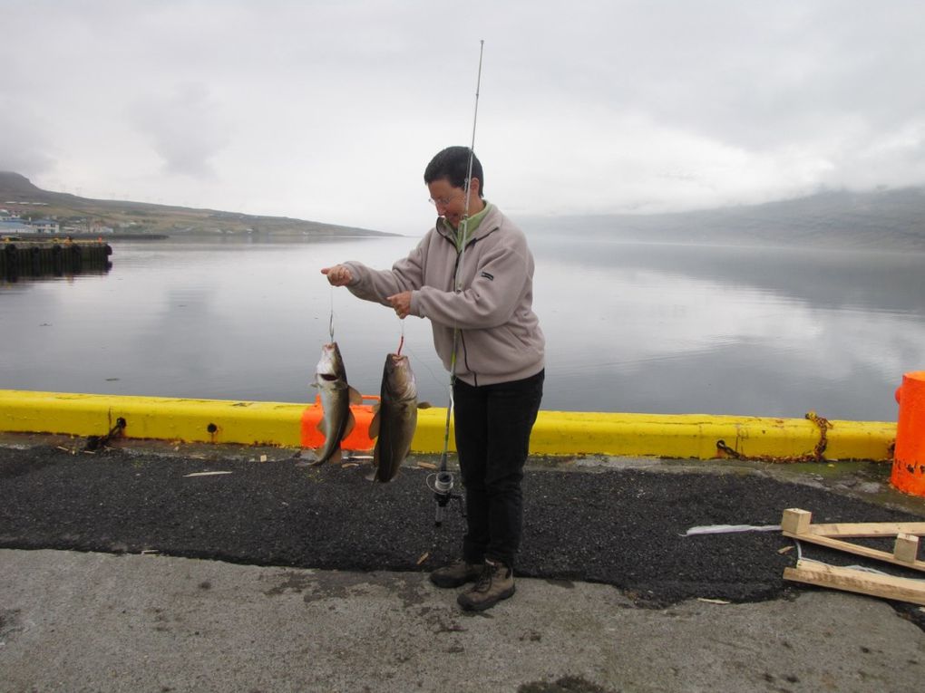 Album - 13----ISLANDE---la-peche-dans-les-fjords-d-l-est