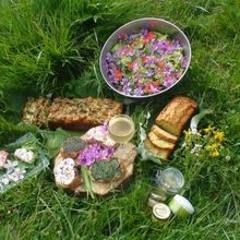 Cueille l’abondance en bas de chez toi