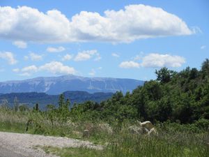 Encore un beau balcon sur le Ventoux omniprésent - Avec l'ami Rocco on a laissé partir les costauds pour monter tranquille !