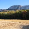 Forêt de la Sainte Baume .