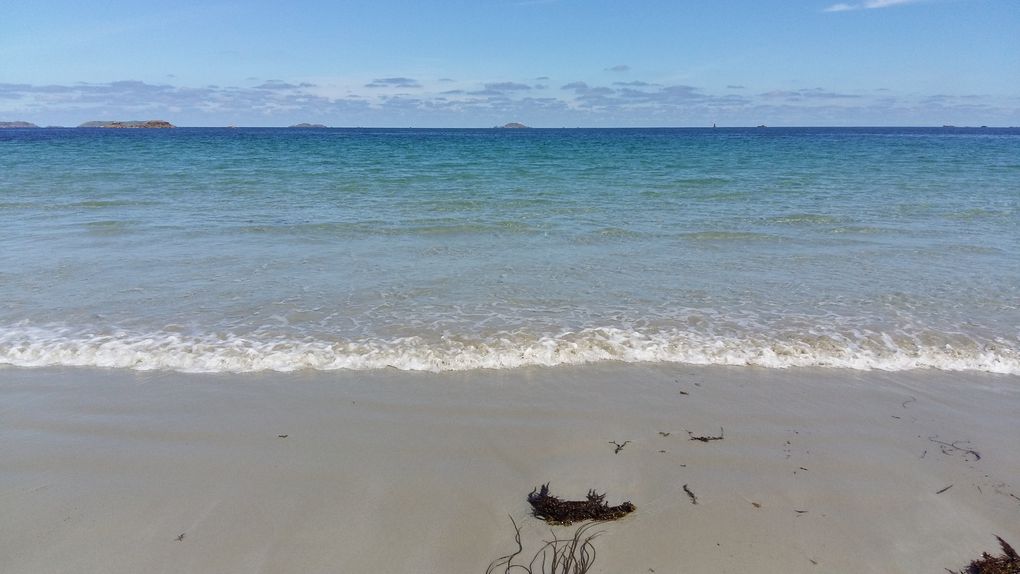 Perros-Guirec - Trestrignel