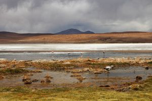 UYUNI!