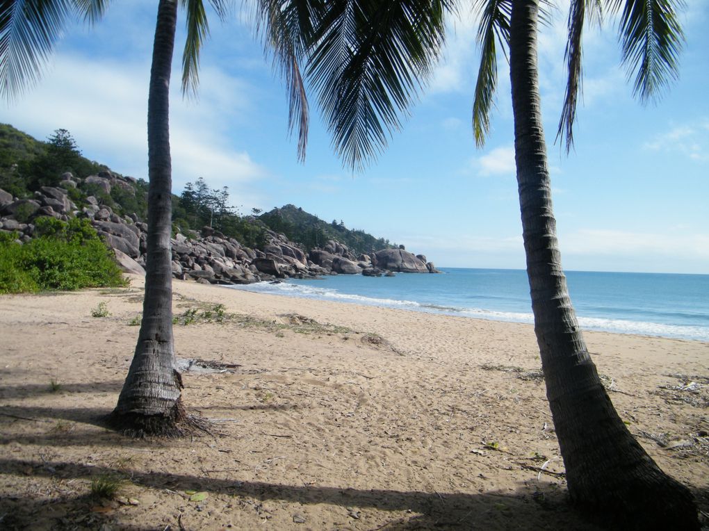 Album - magnetic-island