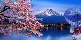 Voyage au Japon en Avril 2026