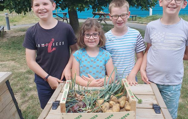 Le potager de l'école