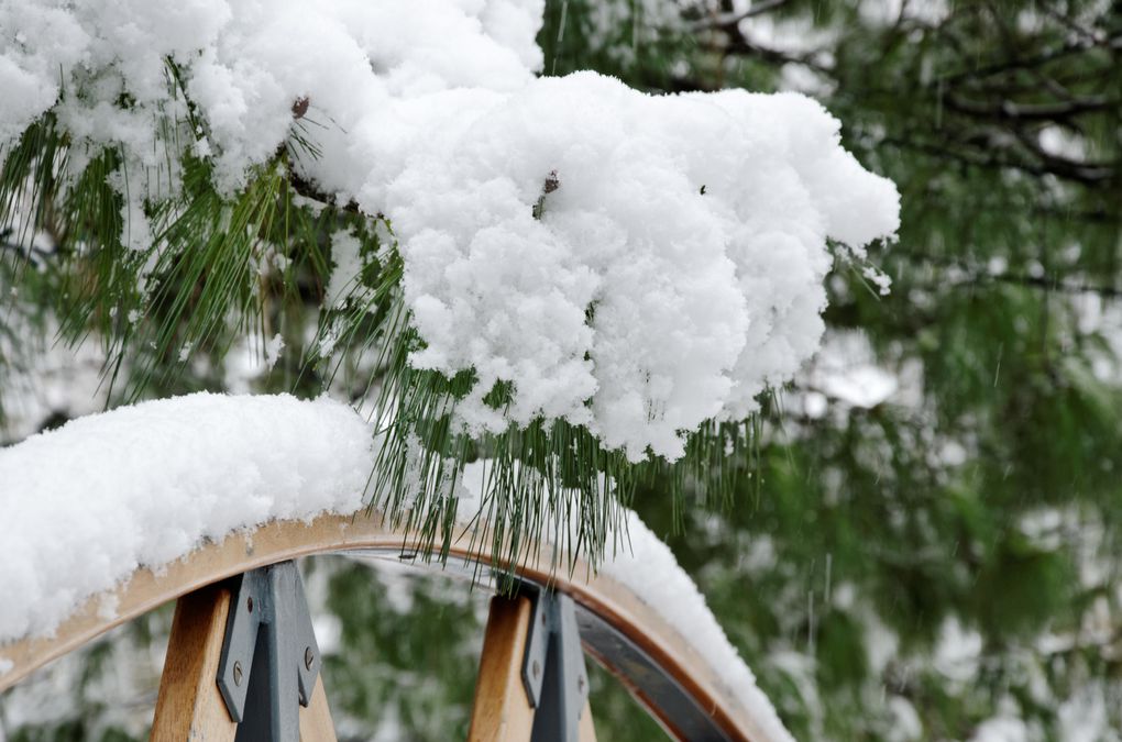 Album - Paysages-de-neige