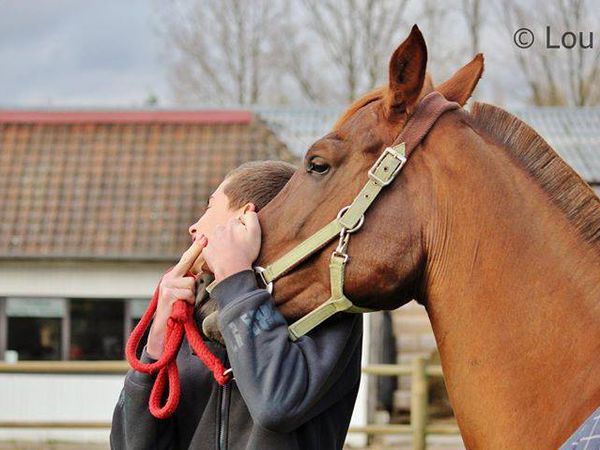 Arthur COTTENYE - 15 ans  et passionné de Horse ball