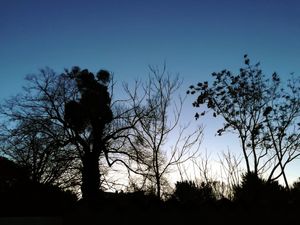 Ciel au Couchant du 02.01.23 - Ciel au Levant du 03.01.23.