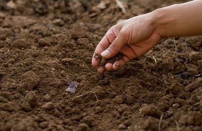 Se réancrer au sol. L'ensolement contre l'enterrement de l'humanité.