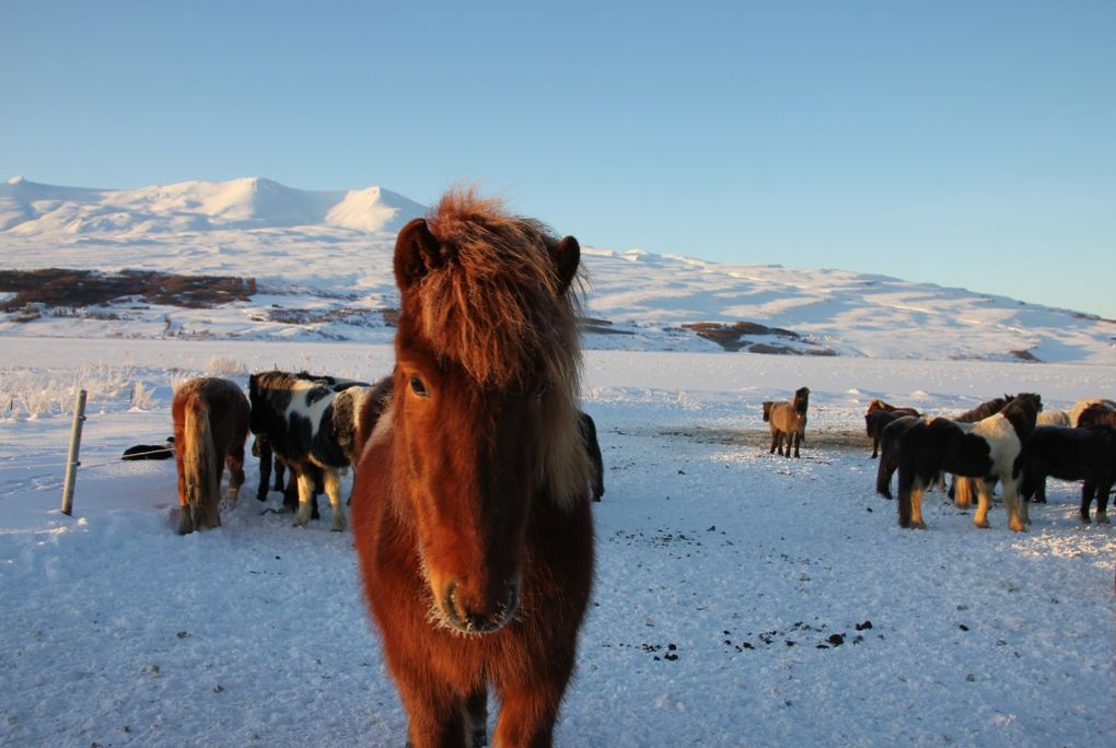 Akureyri