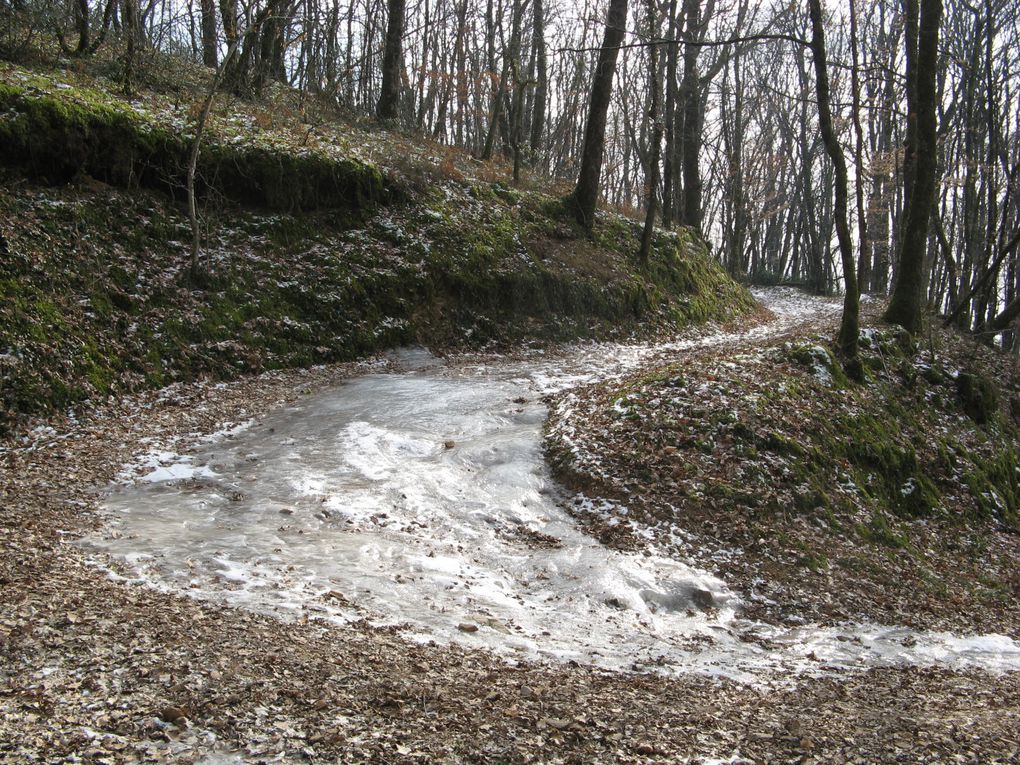 Quelques adhérents nous proposent des balades:avec Jean-Michel Gaudron, naturaliste, des balades découverte, avec Laurent Huchot des marches plus sportives, Christine Ducoux, Quince Graveson, Marie-Ange Dreyer, balade et patrimoine... presque tous