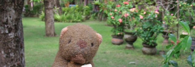 La Marmotte à Bali (dans le jardin du Komala)