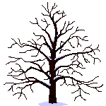 arbres