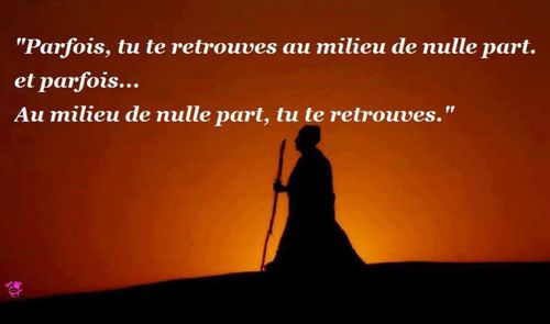 Evolution Personnelle La Vache Rose