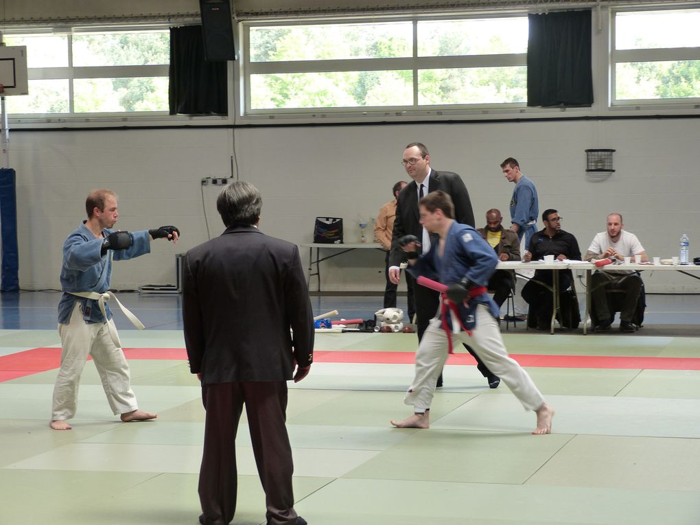 2e partie des photos de la compétition de Nihon Budo du 10 mai 2015 au gymnase des droits de l'Homme à Guyancourt.