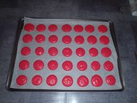 Macarons Rhubarbe-Fraises Gariguettes