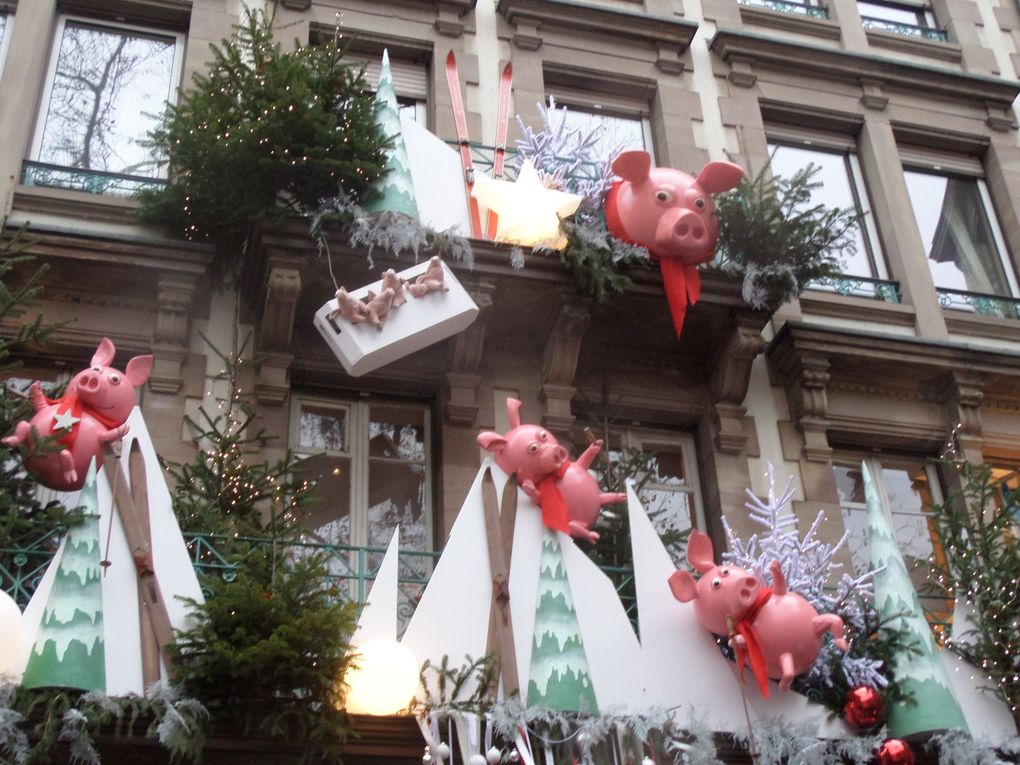 Strasbourg decembre 2014